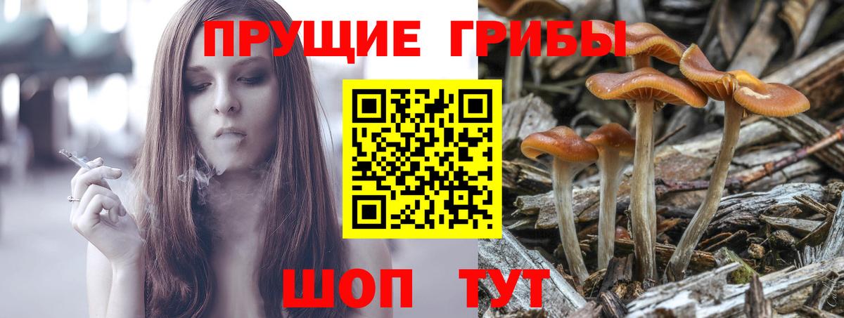 Азов  Псилоцибиновые грибы MAGIC MUSHROOMS  Вход с VPN  Псилоцибиновые грибы мухоморы 
